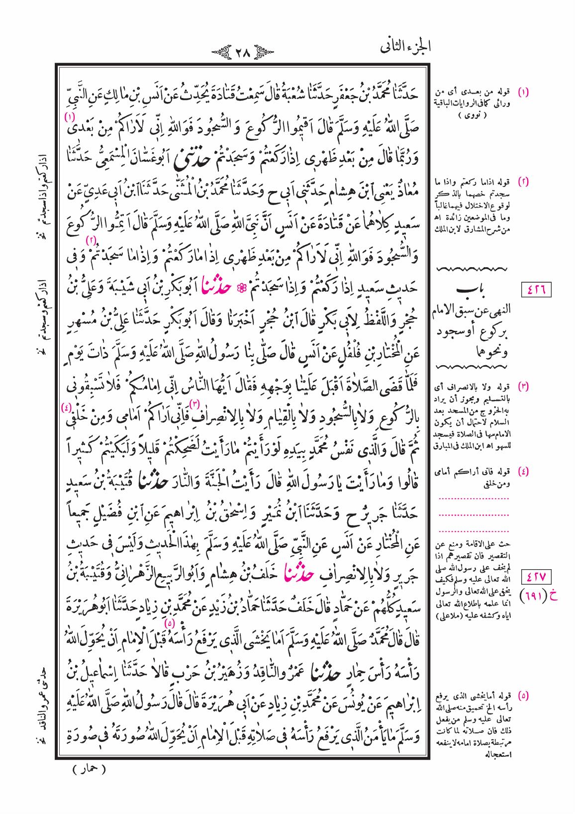 صفحة 28