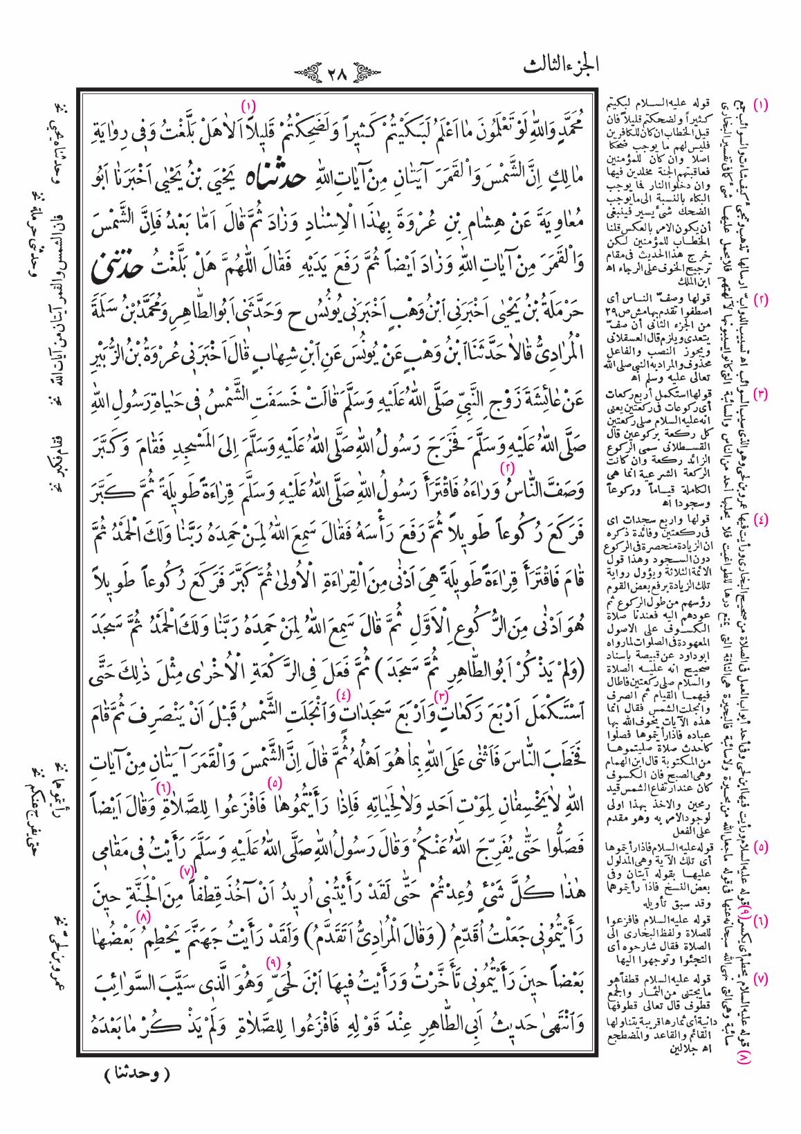 صفحة 28