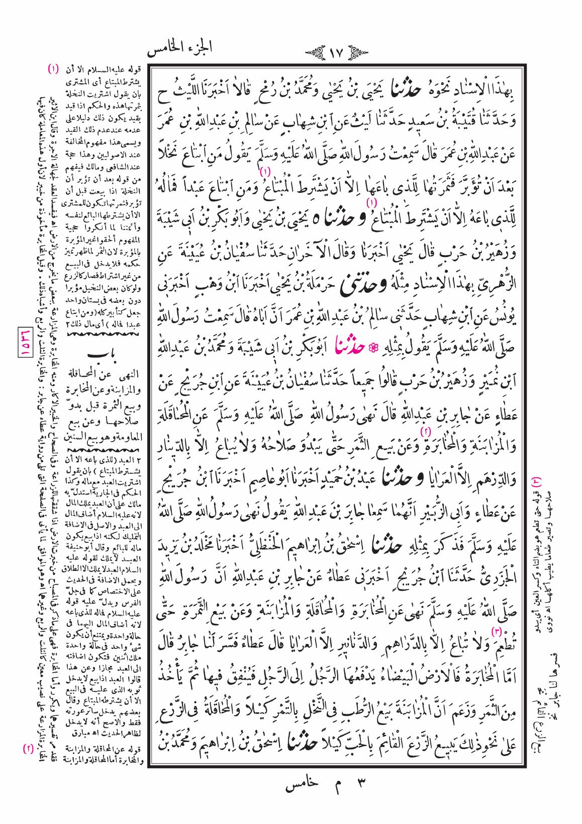 صفحة 17