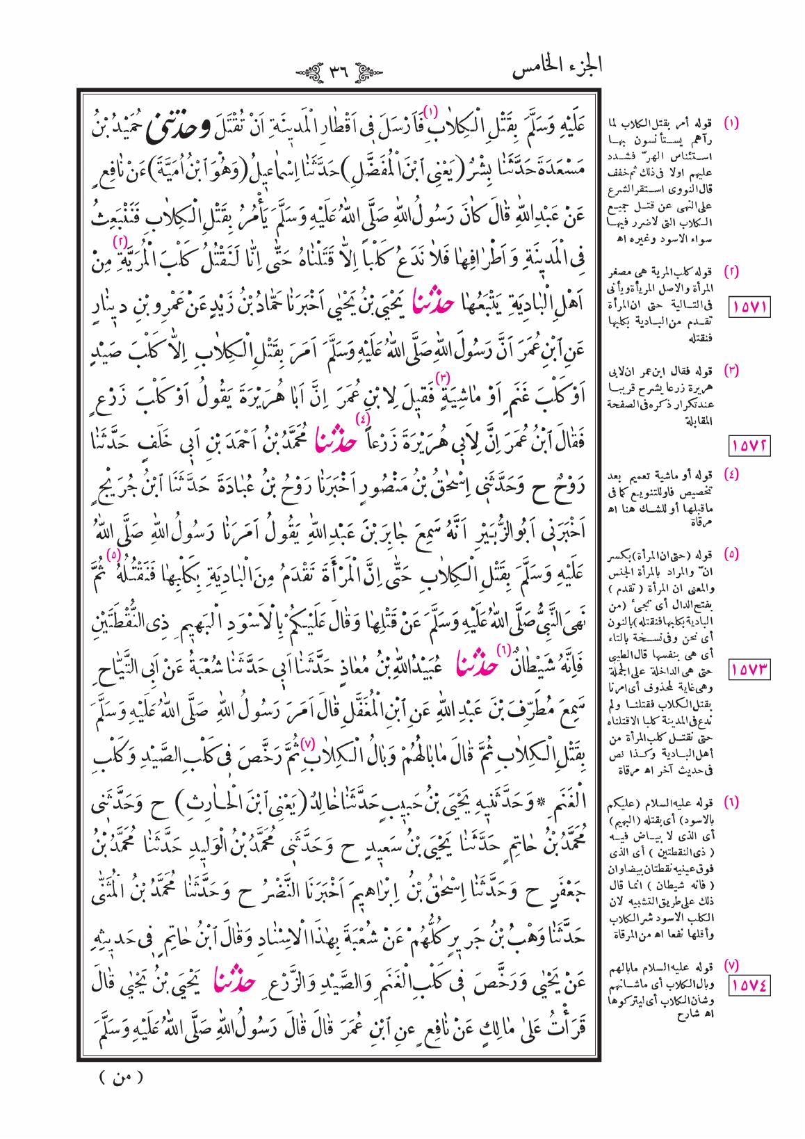صفحة 36