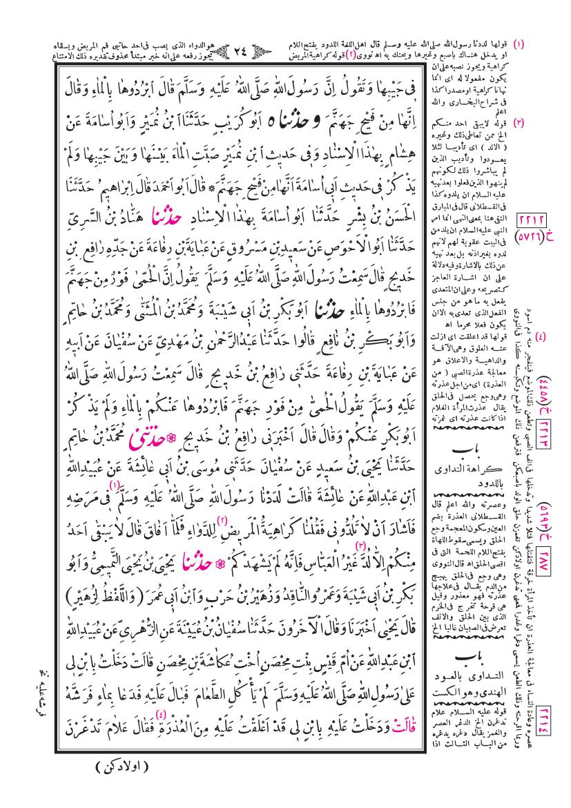 صفحة 24