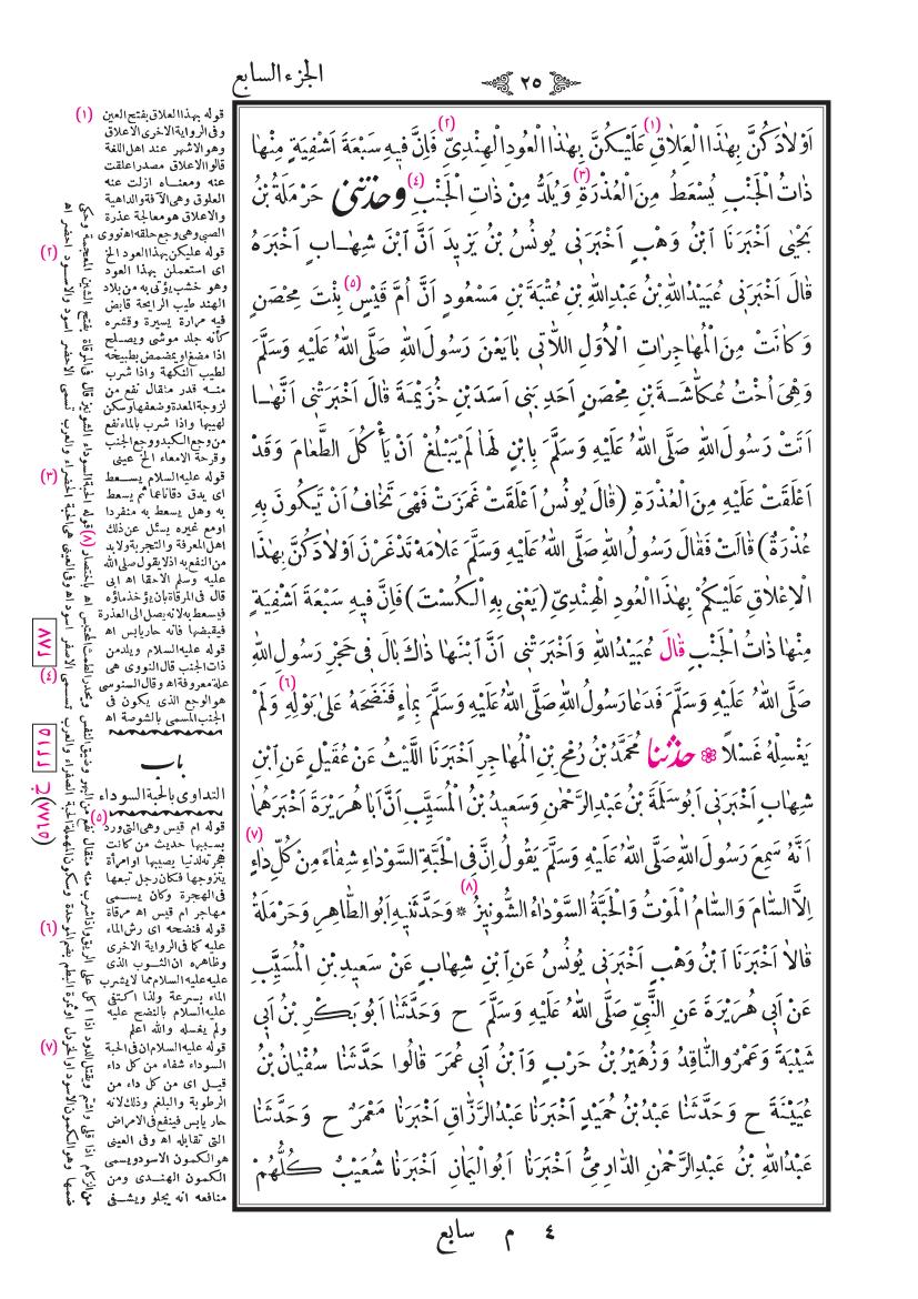 صفحة 25