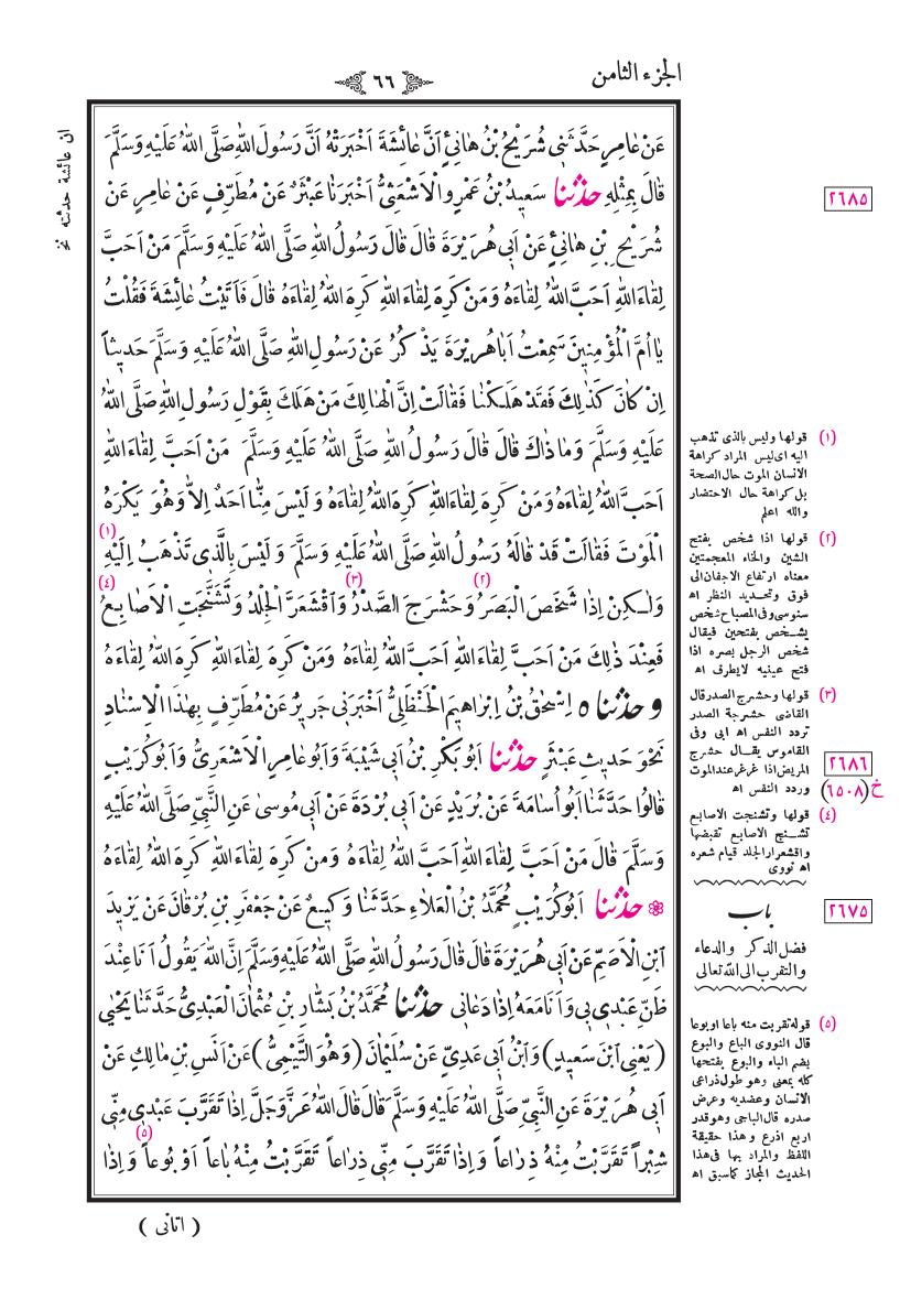 صفحة 66