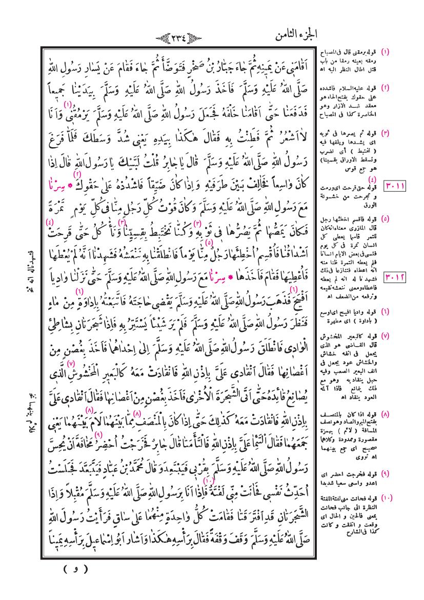 صفحة 234