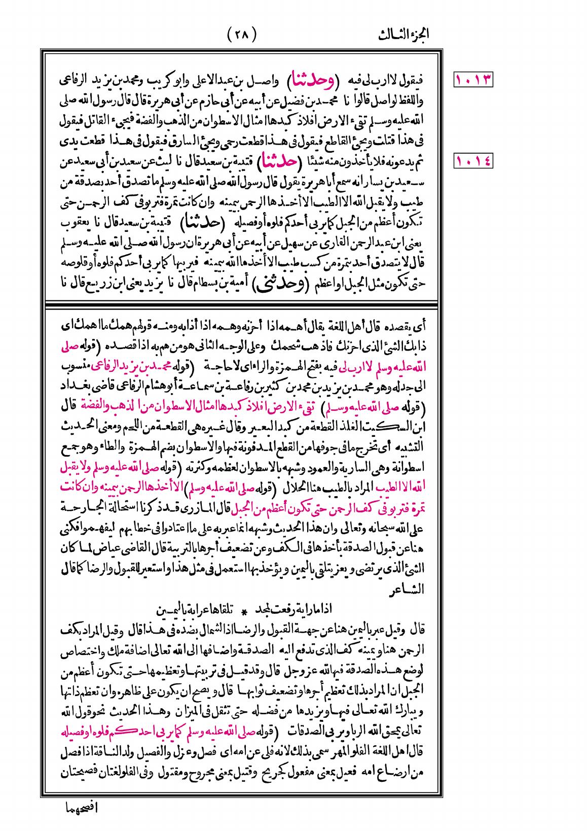 صفحة 28