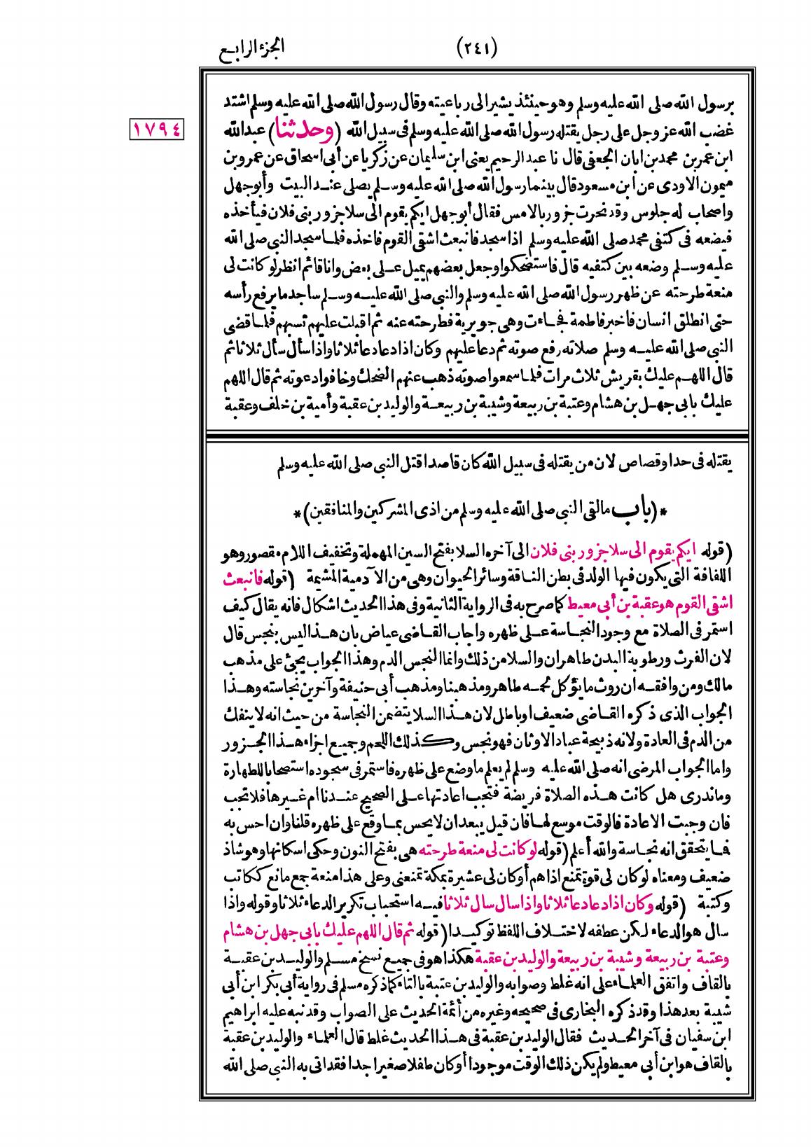 صفحة 241